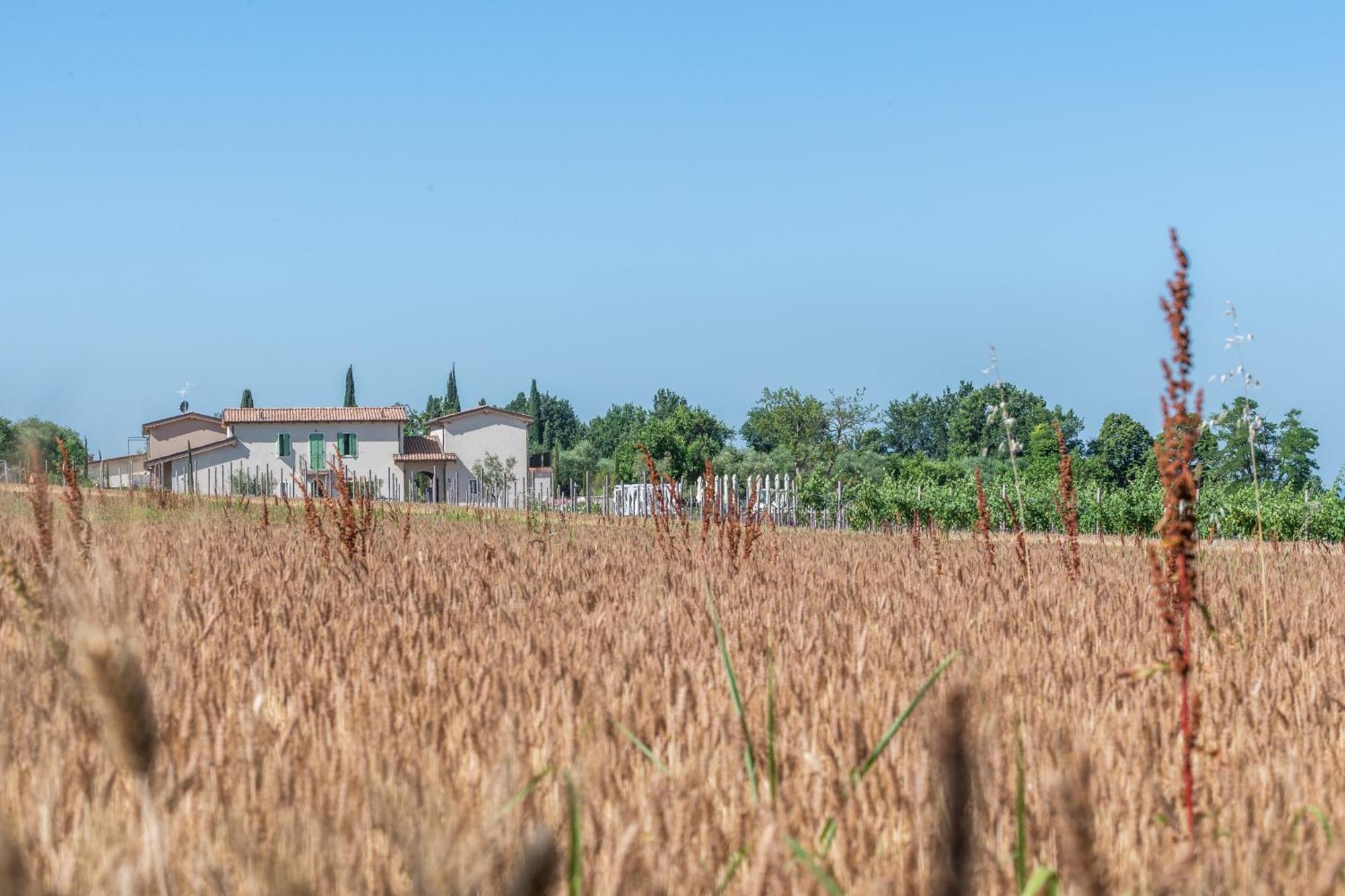 Hotel Natiia Relais - Adults Only Lazise Exterior foto